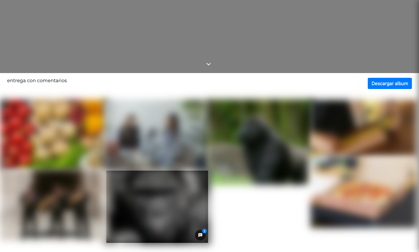 Galería de entrega vista por el cliente